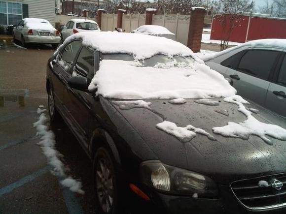 snow in louisiana! :)