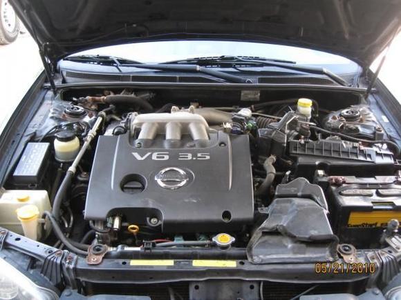 Obligatory engine bay shot (VQ35DE from an '08 Quest)