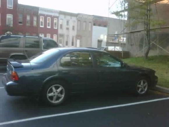 Picture 008