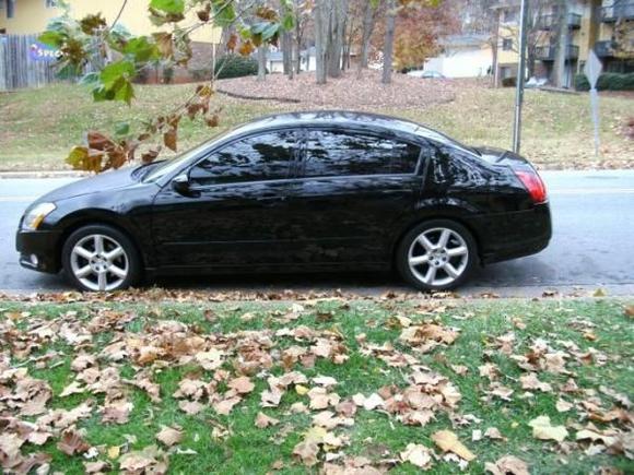 20% tint