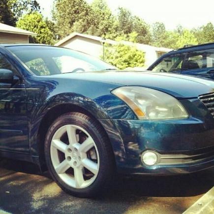 Max1. My baby Maxima 06