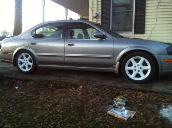 maxima white rims