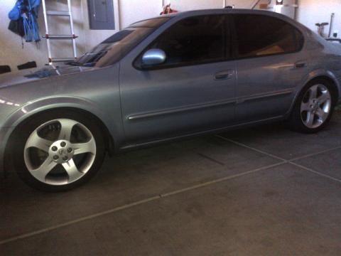 maximaIMG 20130203 00101