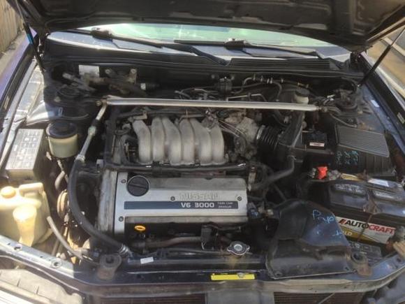 maxima 10