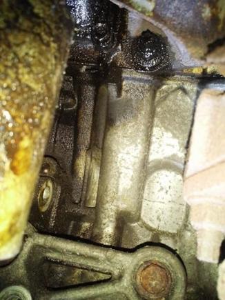Oil leak source or runoff from CPS O-Ring leak? Just above Condenser Bracket, behind Alternator Mount