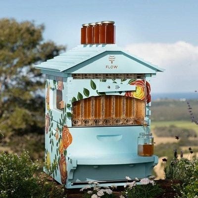 Đơn vị chuyên cung cấp thùng ong tự chảy mật chất lượng