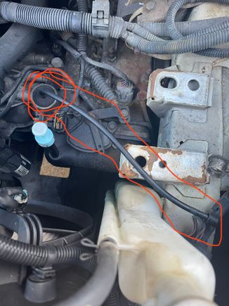 Mystery part and hose.  Where should this hose go, and what is it?