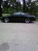 SS Mitchs Black Beauty