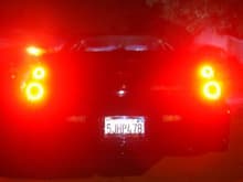 Rear End Tailights  Night