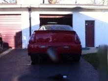 Back