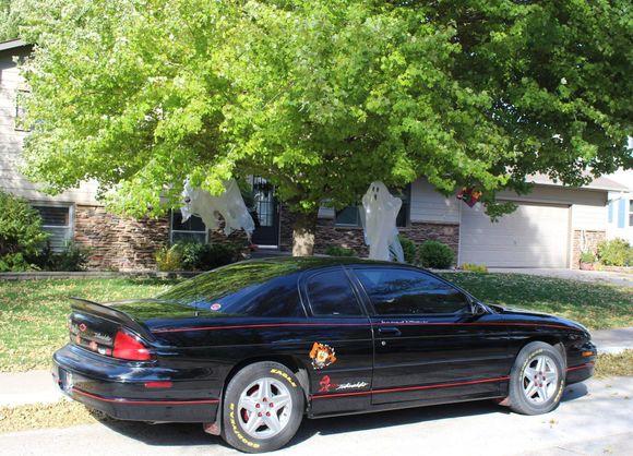 The Black Monte of drivernumber3 with a tree with ghosts in it.