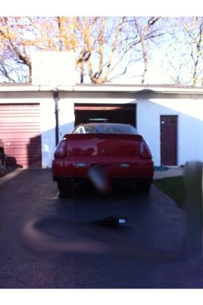 Back