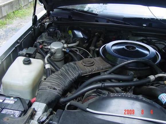 notice the duct tape bottom left...going to fix that
