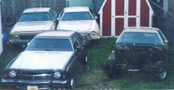 mid 90s i had four monte at one time.. 3-73 and a 74