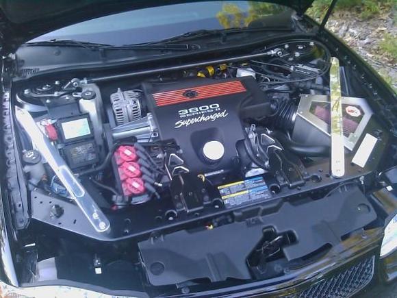 monte underhood 2