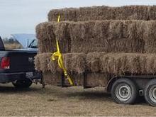 another pic of Hauling hay this time same size but 140 bales!