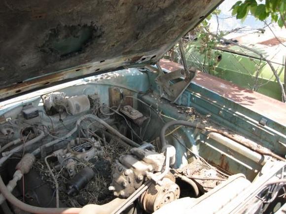 Engine bay picture