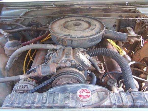 new hoses, water pump, and marvel mystery oil (the stuff works well) as well as a flushed radiator.