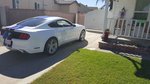 Untitled Album 2016-10-26 13:39:28
