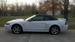 2003 White GT