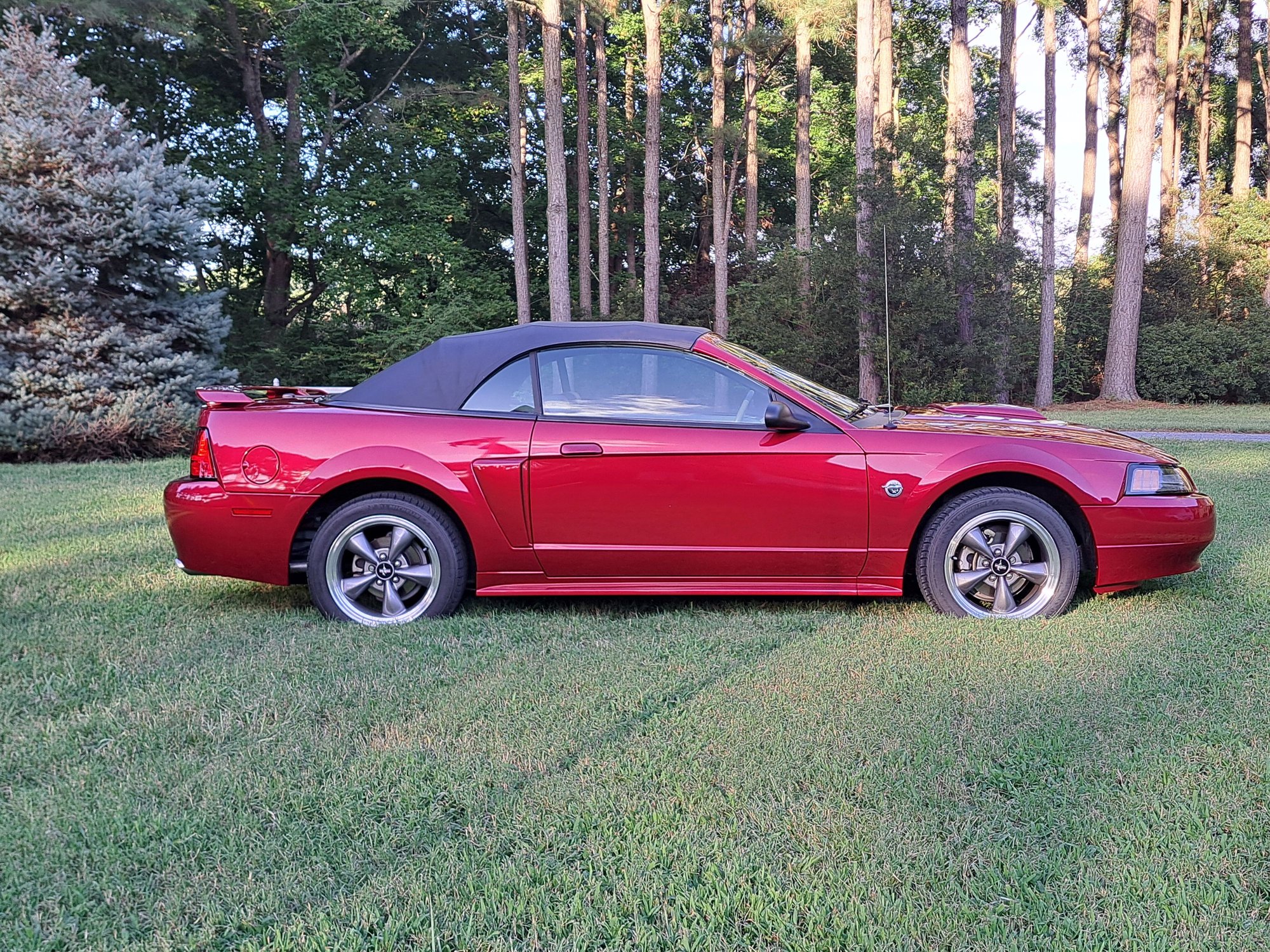 2004 Ford Mustang - 2004 Mustang GT Premium Convertible - Used - VIN 1FAFP45X54F102003 - 20,000 Miles - 8 cyl - 2WD - Manual - Convertible - Other - Exmore, VA 23350, United States