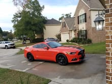 2015 GT in Competition Orange
