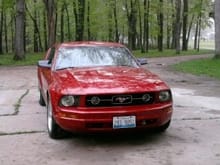 pony package grille