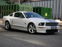 My Shelby GT