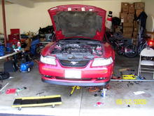 My stang during surgery