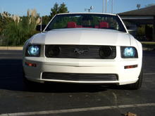 8000K HID Kit, billet grilles, smoked corners and fogs, white stubby antenna