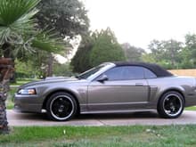 my wifes stang