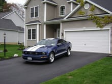 Mustang 2010 005