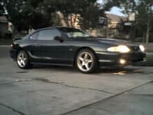 my 95 stang