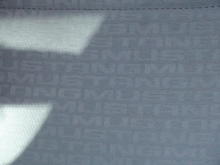seat design with mustang words all over