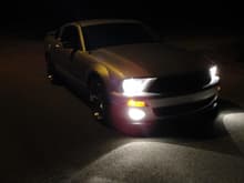 Mustang6