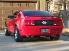 Mikes 05 V6 Mustang