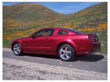 2007 Mustang GT