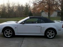 2003 White GT