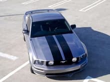 2006 Mustang Custom9