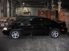 2001 Mustang GT