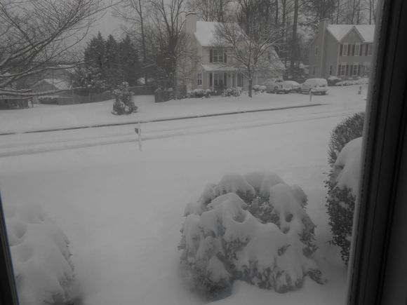 Jan. 2017