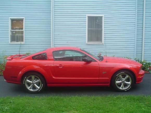 Mustang 016a