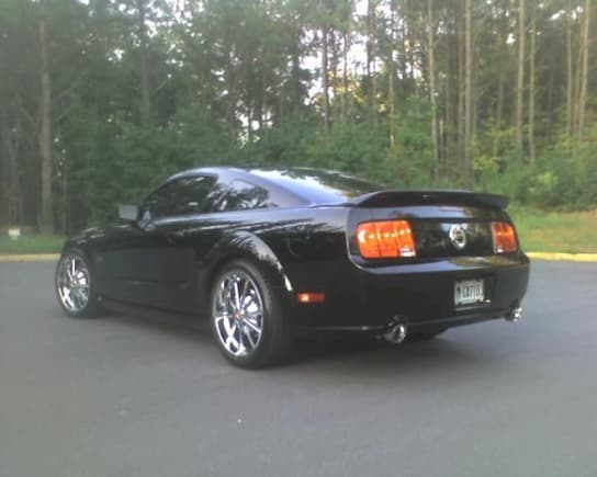 2005 rear