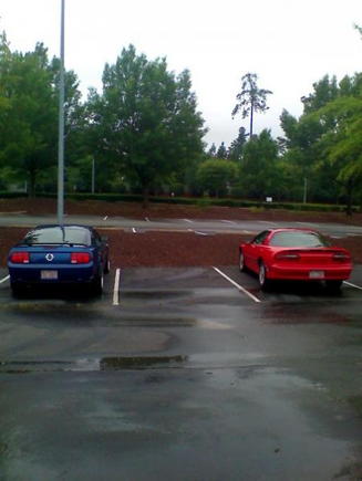 my stang and my best friends z28