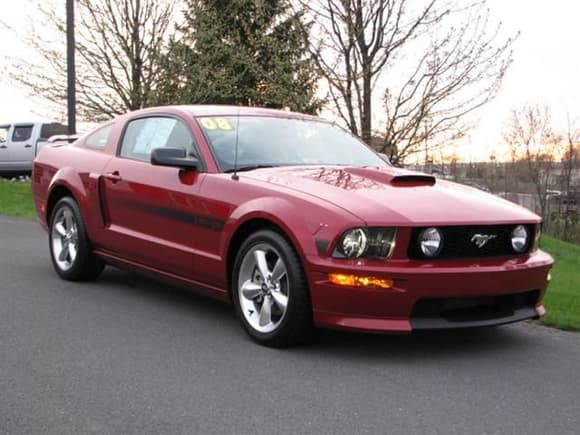 Angie 2008 Stang
