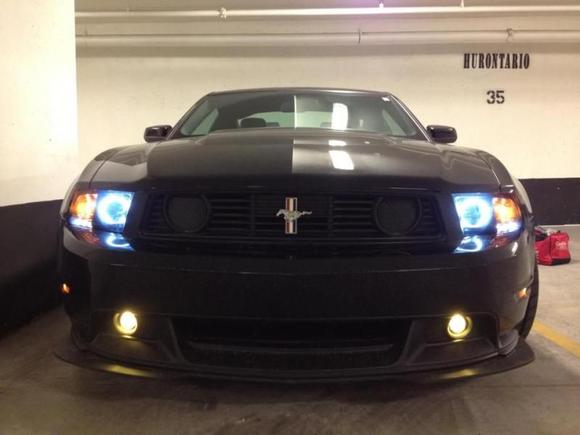 Raxiom Headlights with H11 6000k HID conversion, Eurolite H11 yellow halogen fog lights.