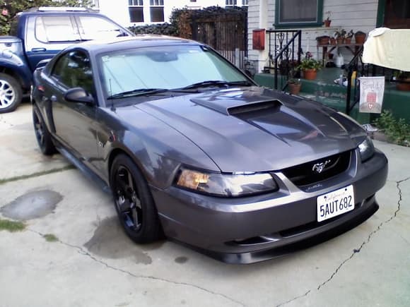 2003 Mustang Gt