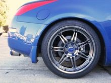 New shoes for the General!  Linea Corse Dynas!