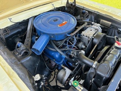 1966 Ford Mustang GT Coupe, Documented