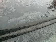 roof scab